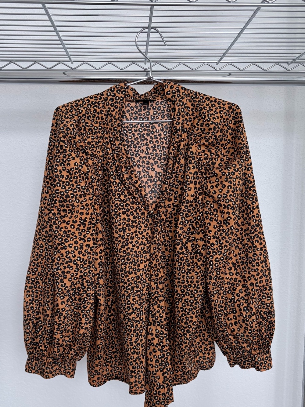 Leopard Print Tie-Neck Blouse
